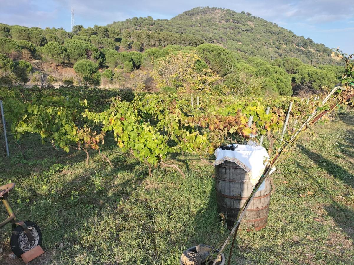 Vila Etnasentieri Wine House On Etna Mount Belpasso Exteriér fotografie