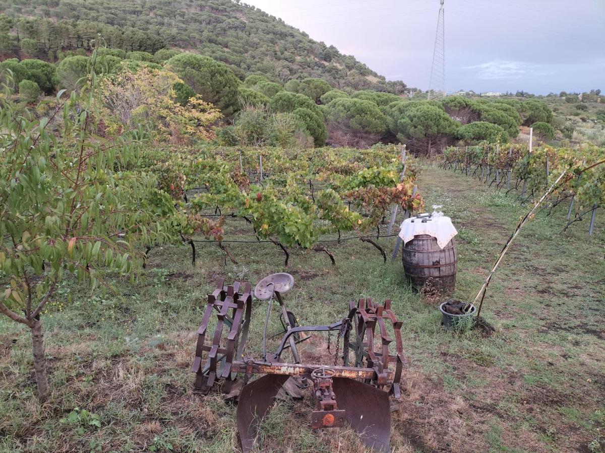 Vila Etnasentieri Wine House On Etna Mount Belpasso Exteriér fotografie